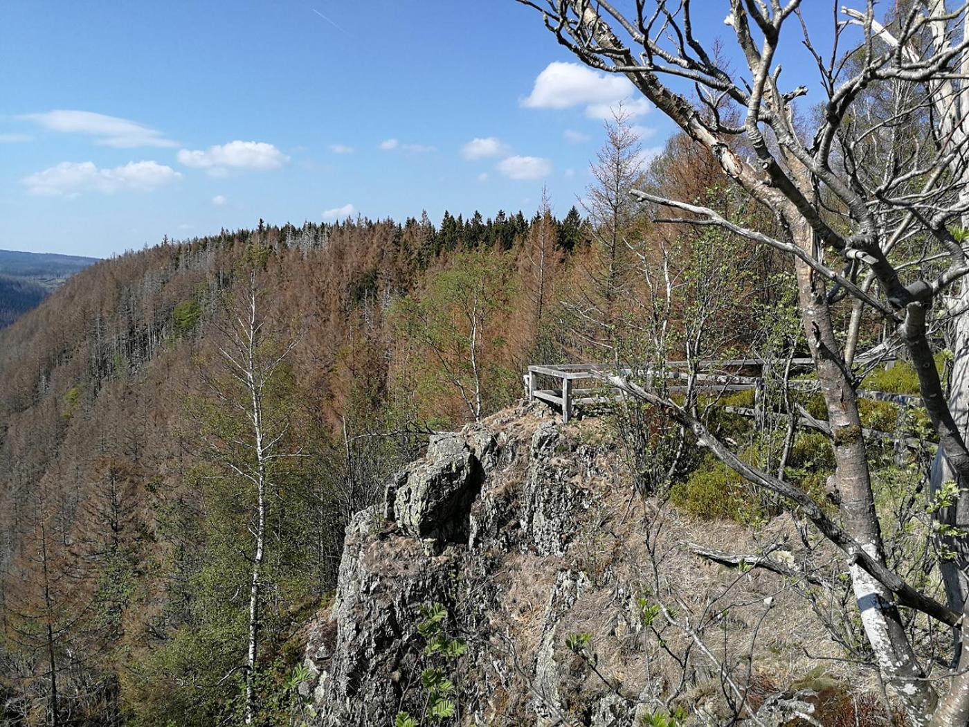 Ferienapartment Bergstation Braunlage Exterior foto